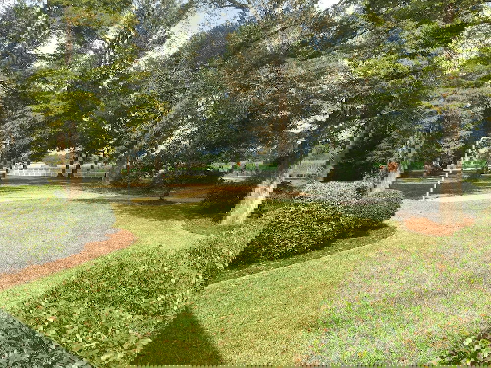 Louisiana Cajun Mansion - thumb 2