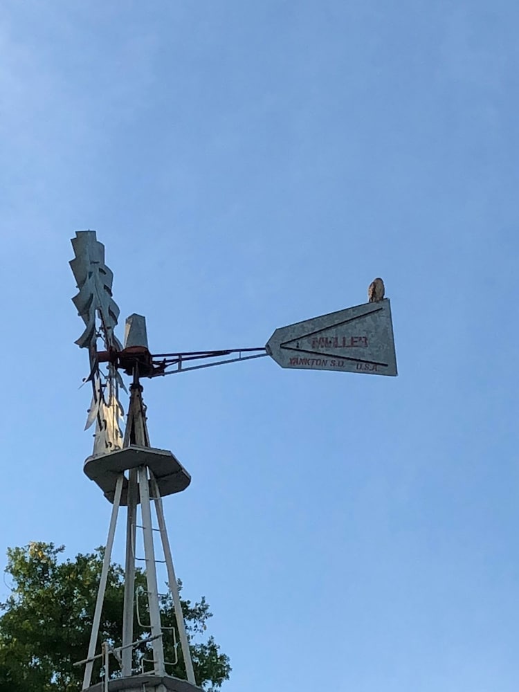 Grandview B&B Mount Dora - thumb 3