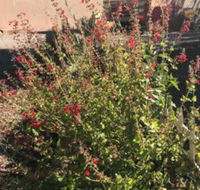 Redhen Rental Near Zion National Park - Tourism House