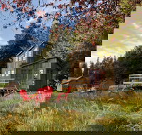 Clydesdale Outpost - Tourism House