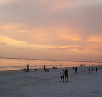 5583 Estero Blvd Iguana Mama's Beach House - Tourism House