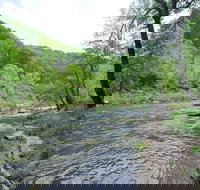 River Time Cabin - Tourism House