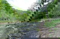 Great Cacapon Wv Tourism House