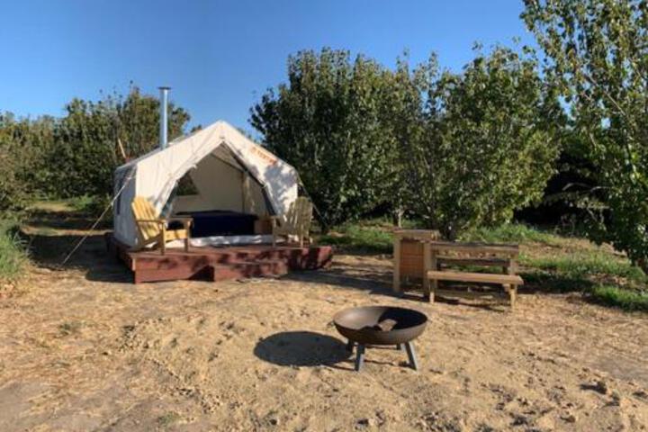 Tentrr Lagier Ranches Camp - thumb 4