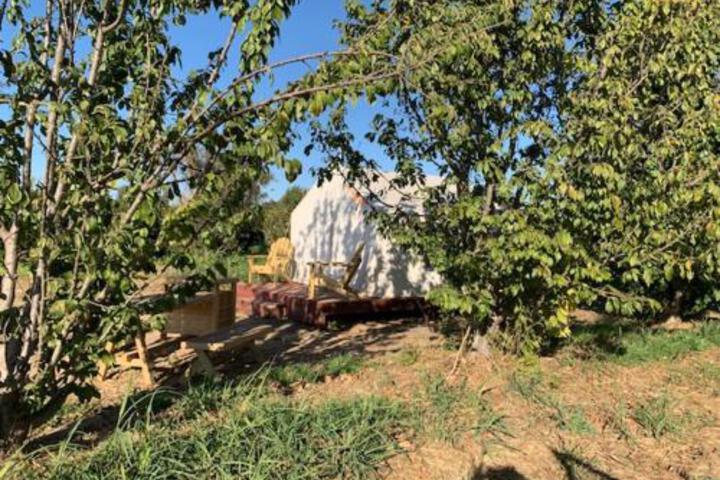 Tentrr Lagier Ranches Camp - thumb 3