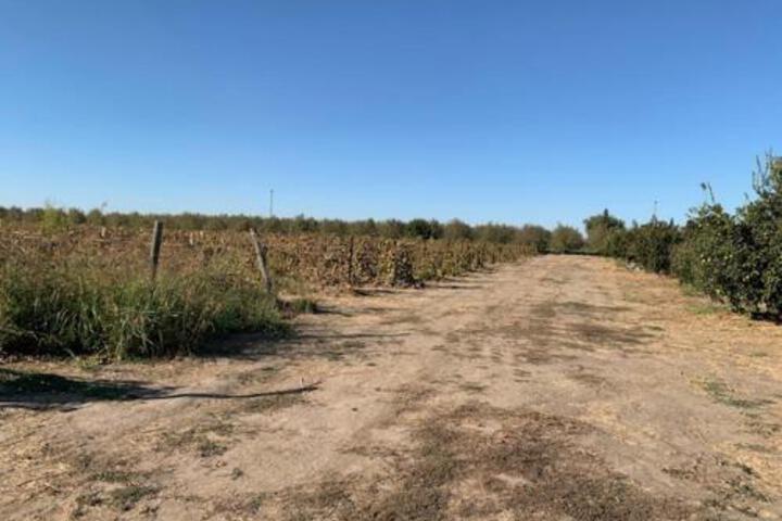 Tentrr Lagier Ranches Camp - thumb 2