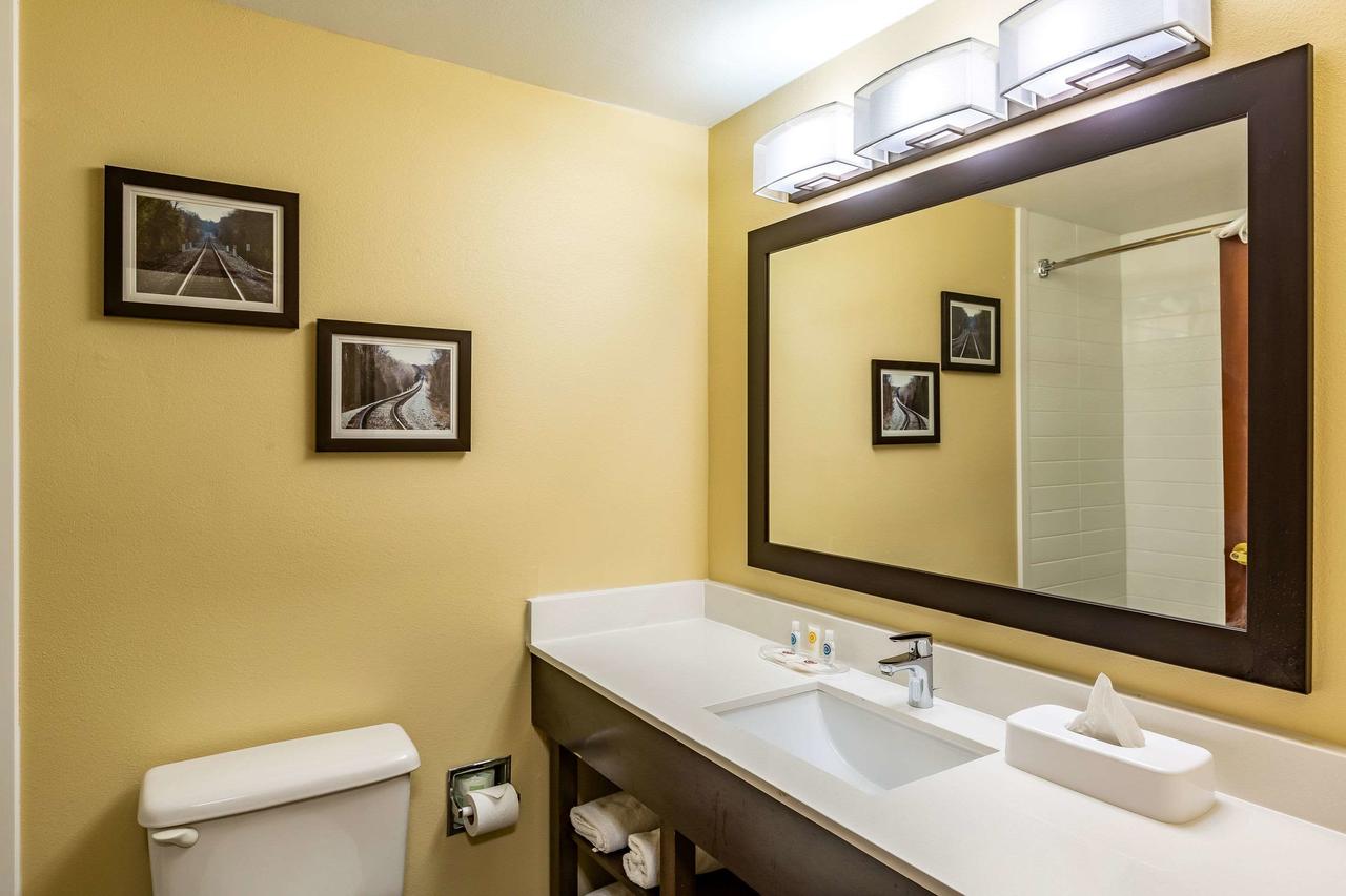 Comfort Suites Near Robins Air Force Base - thumb 15