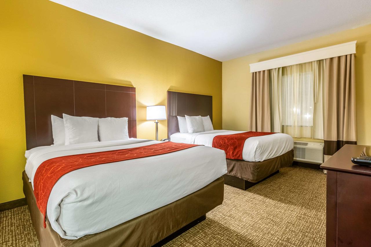 Comfort Suites Near Robins Air Force Base - thumb 33