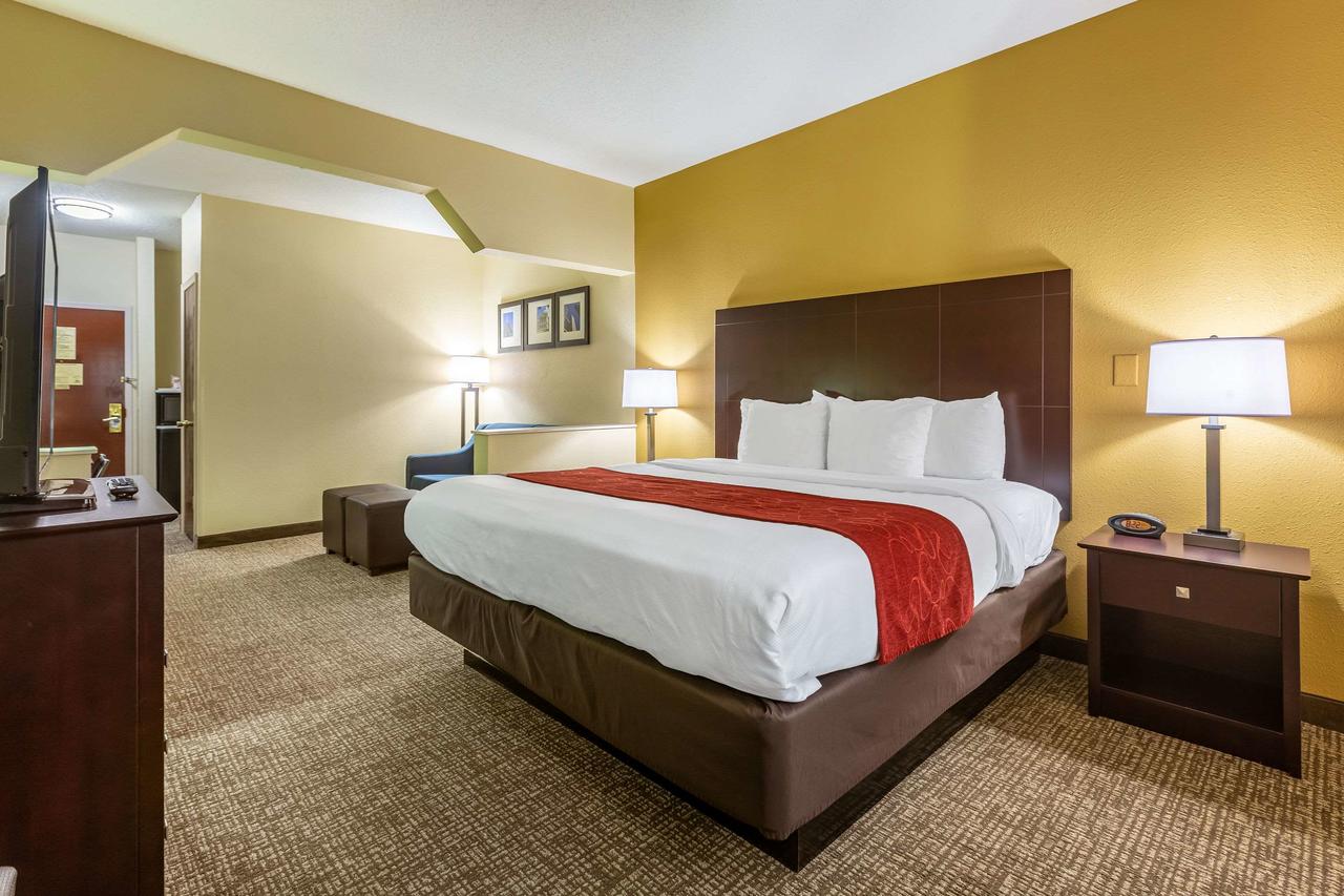 Comfort Suites Near Robins Air Force Base - thumb 3