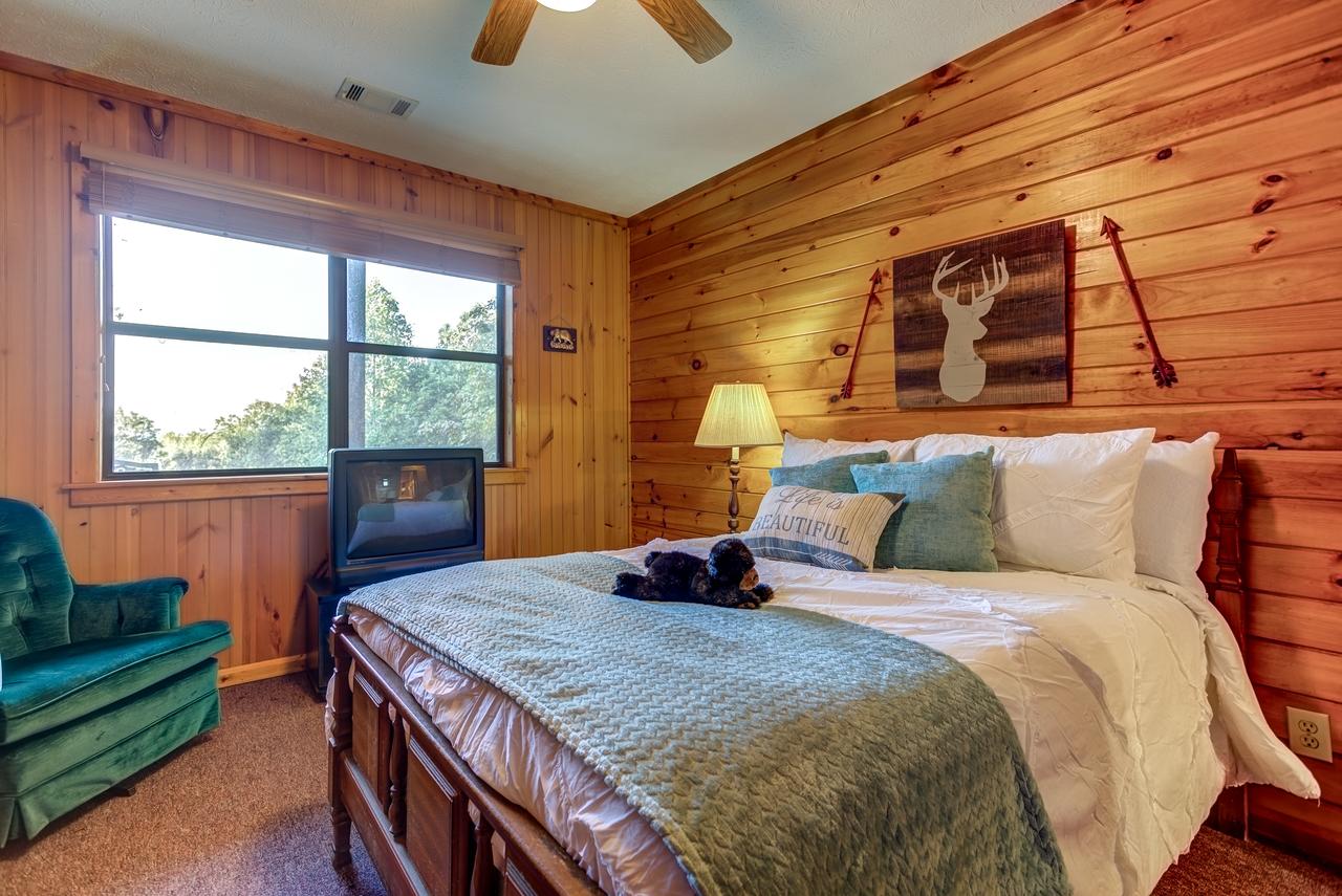 Cozy Bear Den - thumb 16