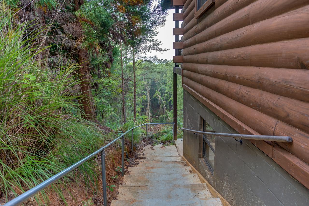 Cozy Bear Den - thumb 23