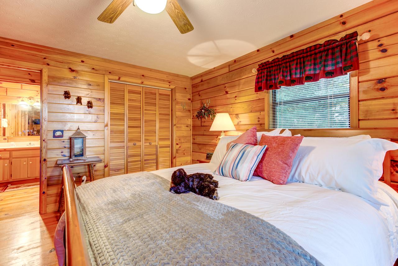 Cozy Bear Den - thumb 9