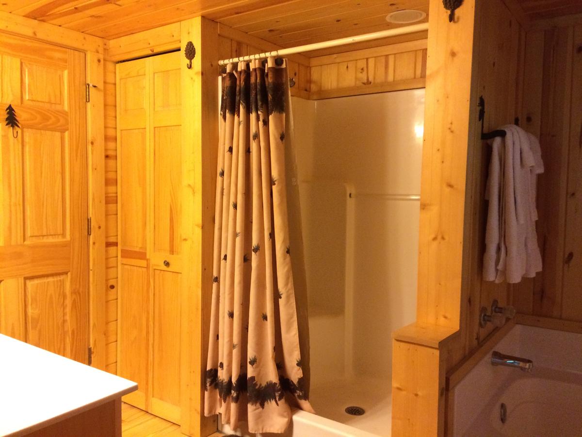 Pine Cabin At Blairsville - thumb 1