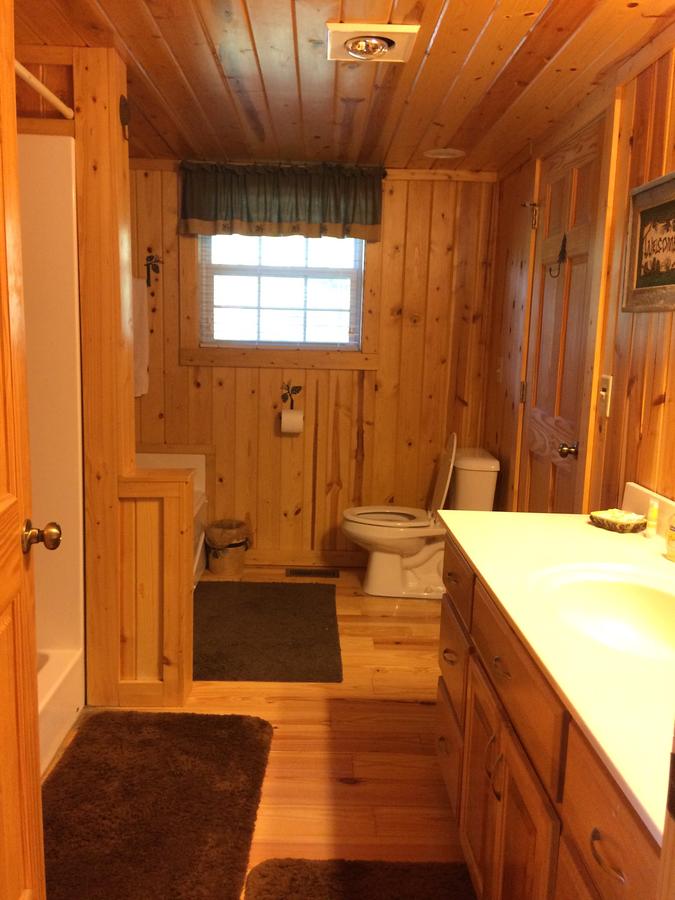 Pine Cabin At Blairsville - thumb 4