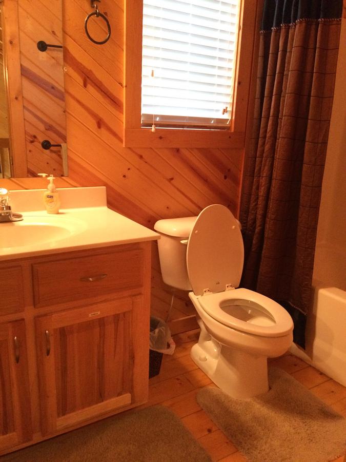 Pine Cabin At Blairsville - thumb 6