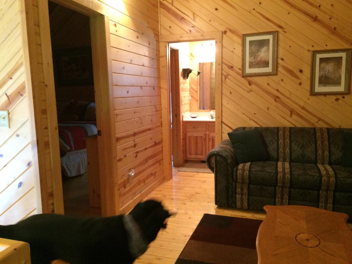 Pine Cabin At Blairsville - thumb 3