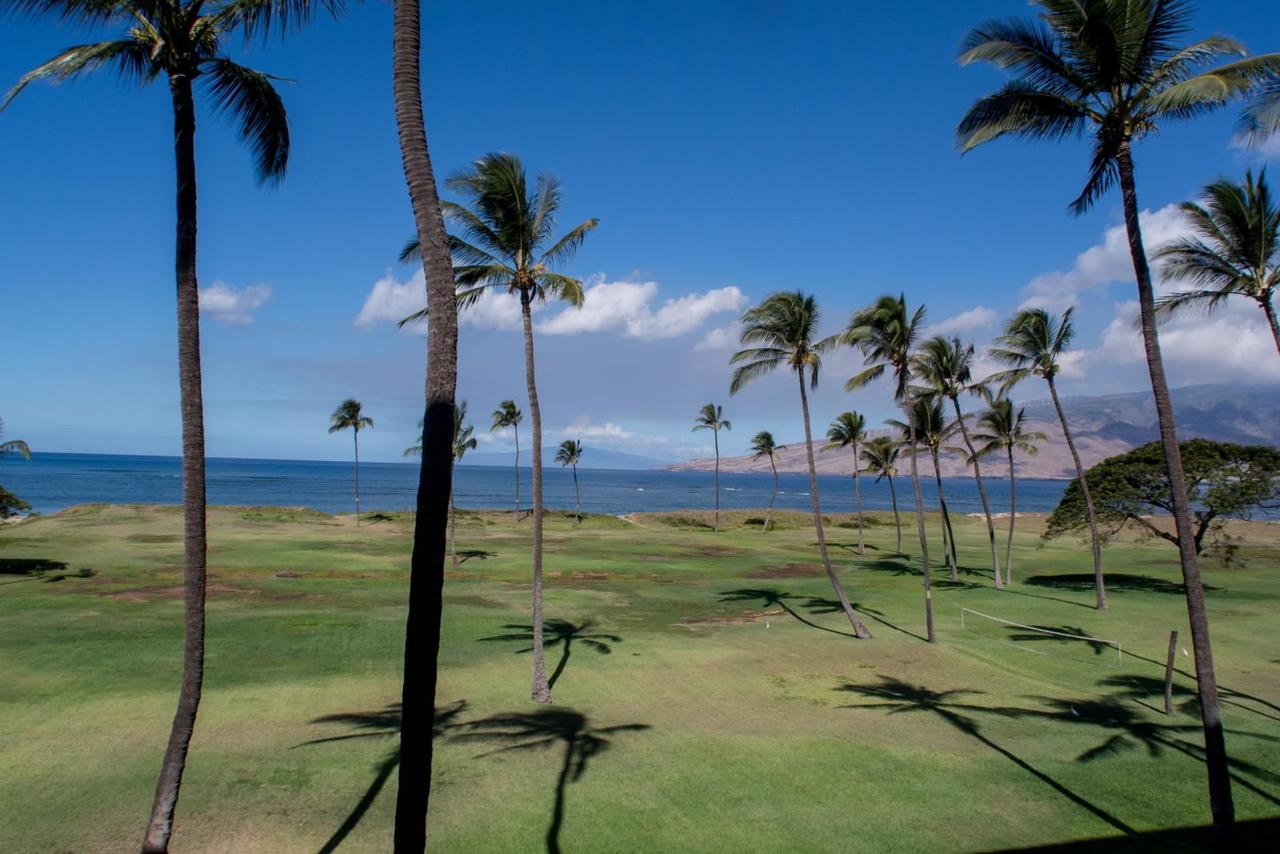 Kauhale Makai 335 - thumb 14