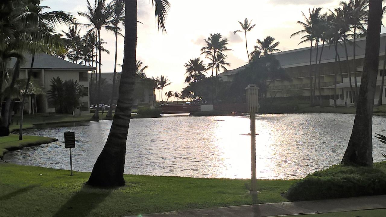 Kauai Beach Villas Unit C 4 - thumb 23