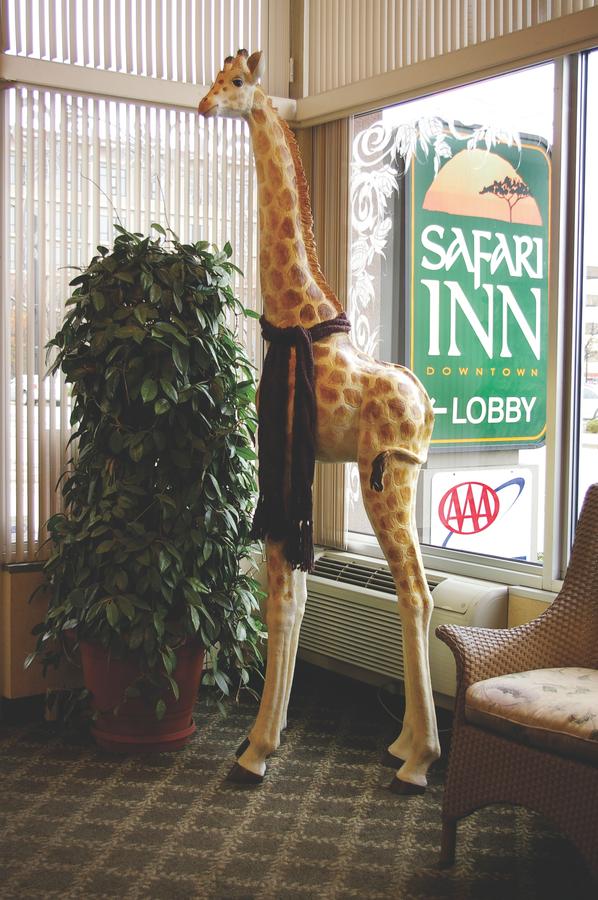 Safari Inn Downtown Boise - thumb 12
