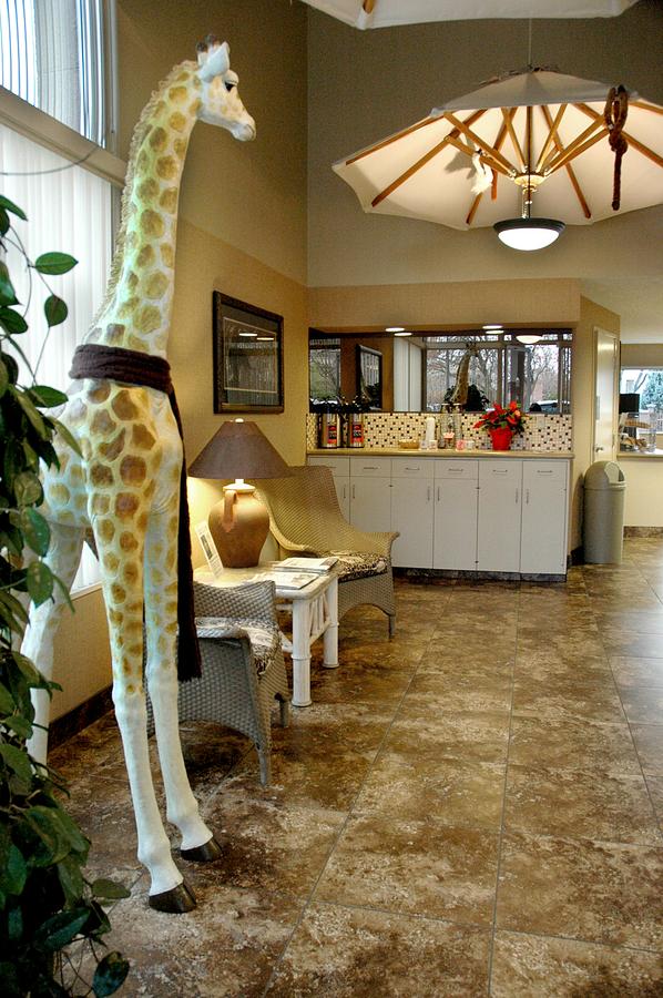 Safari Inn Downtown Boise - thumb 2