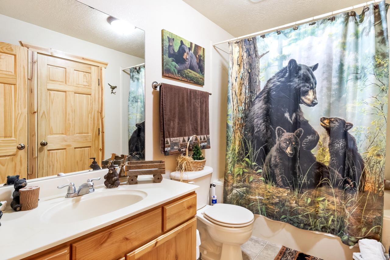 Moose Mountain Retreat - thumb 12