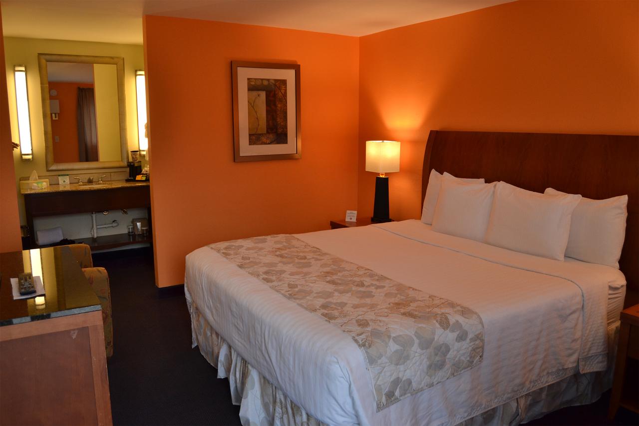 Cascades Inn - thumb 14