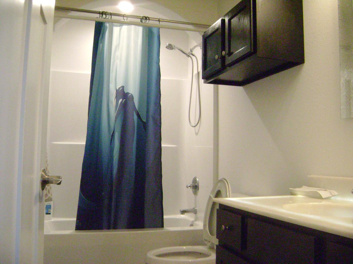 Brand New Duplex - thumb 12