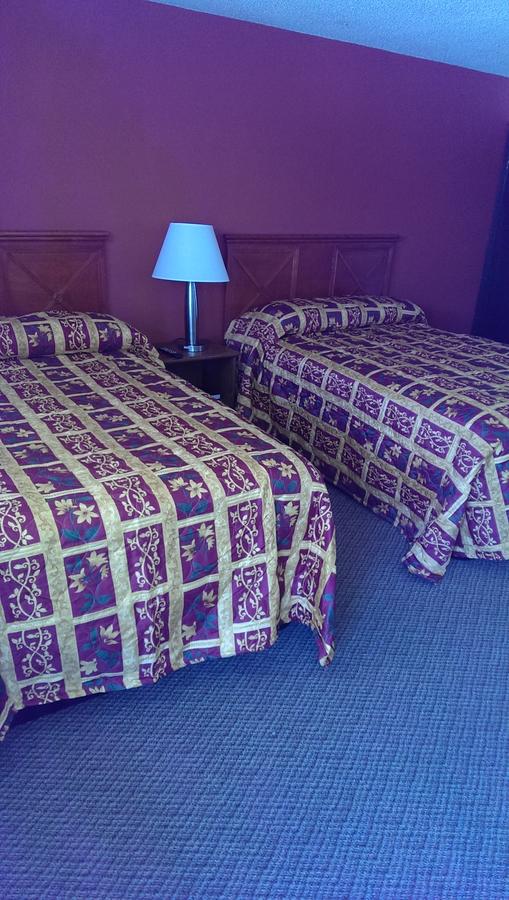 Airport Lodge - thumb 2