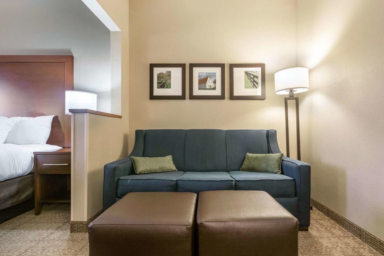 Comfort Suites Keeneland/Airport - thumb 11