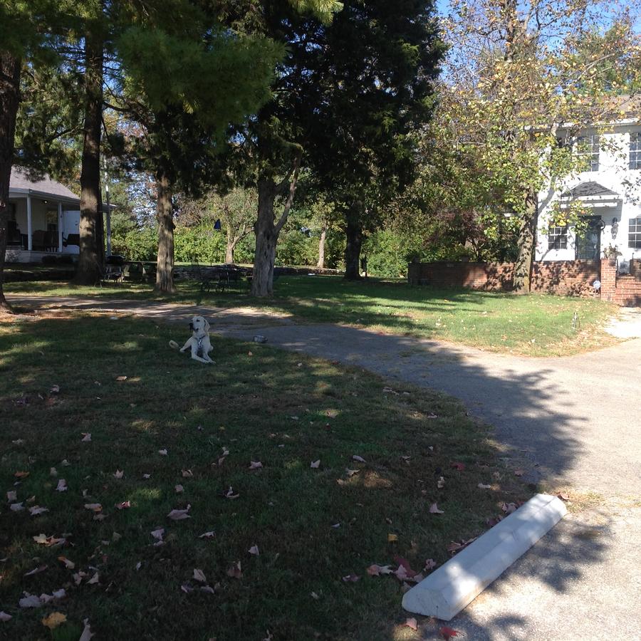 Charming Cottage Home On A Farm In KY - thumb 9