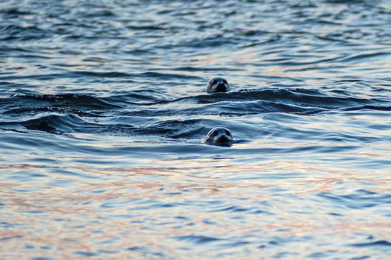 28 Lopez Sound - thumb 34