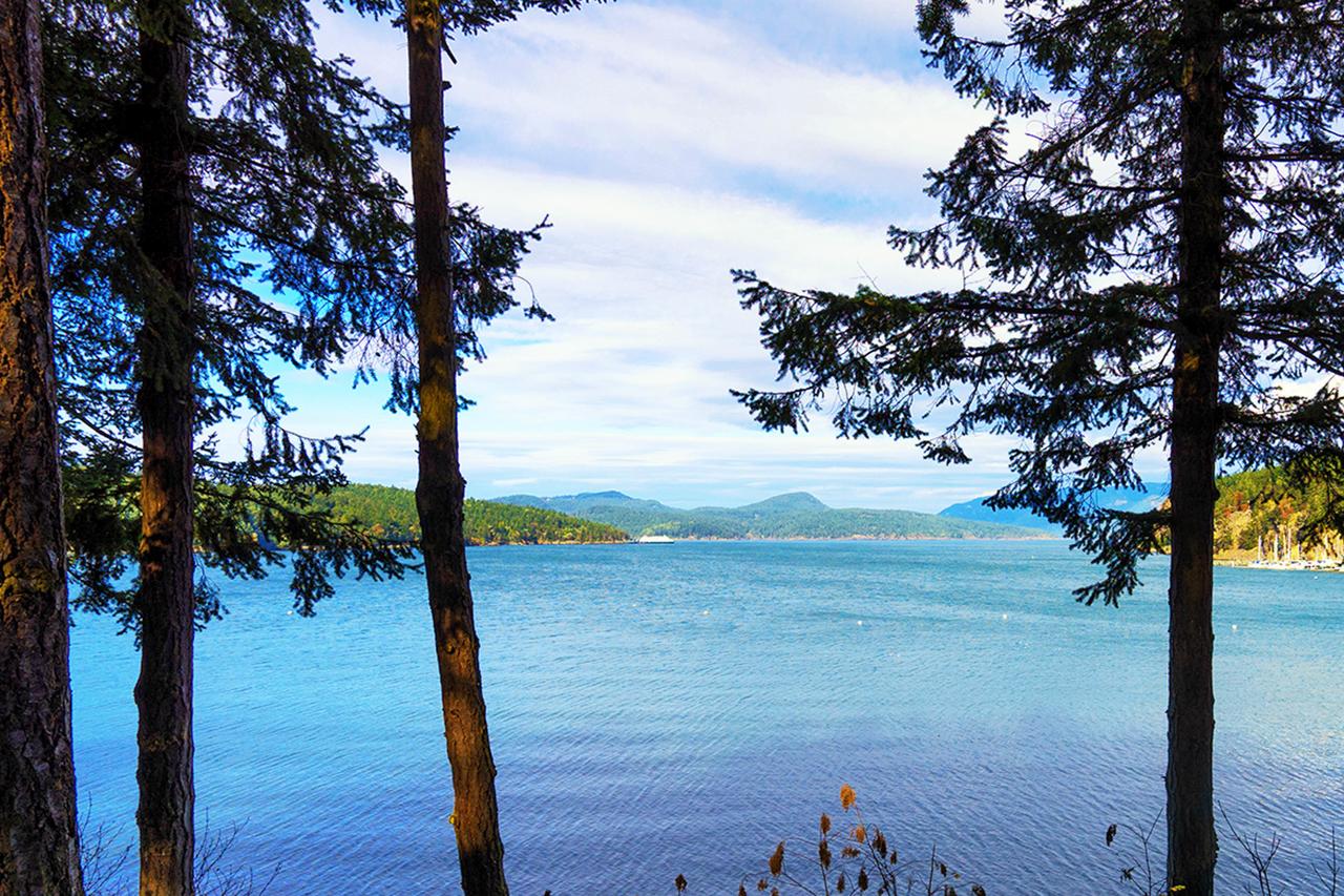 28 Lopez Sound - thumb 32