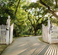 The Myrtles Plantation - Tourism House