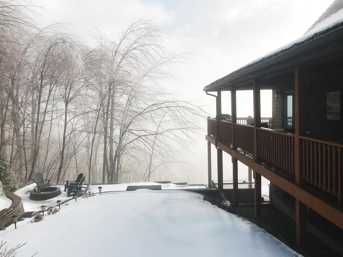 Ski Country Vista - thumb 4