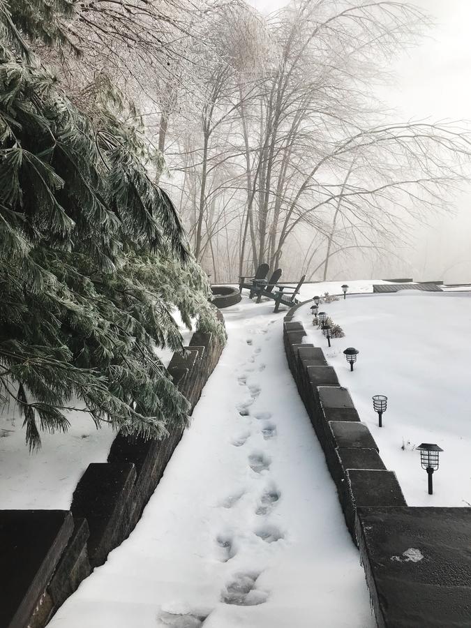 Ski Country Vista - thumb 6