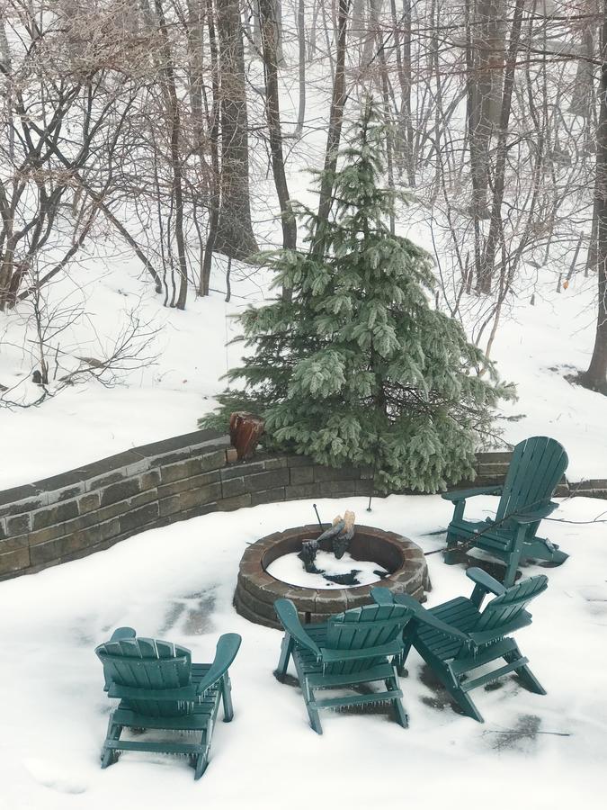 Ski Country Vista - thumb 9