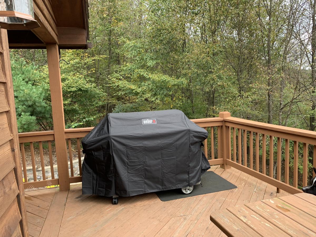 Ski Country Vista - thumb 26