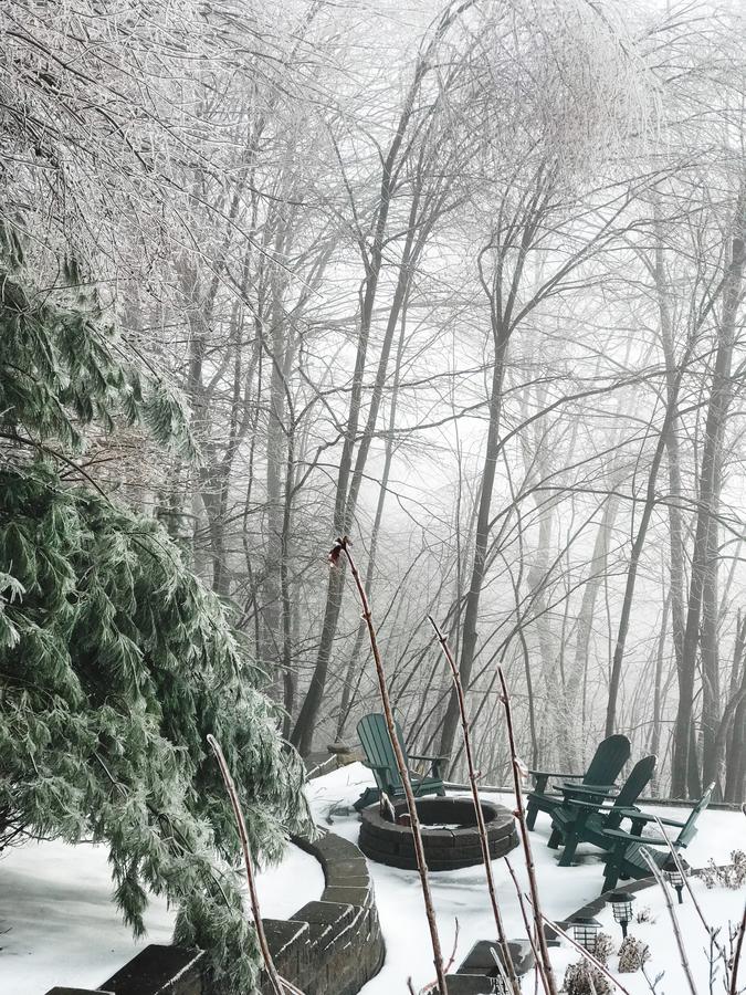 Ski Country Vista - thumb 11