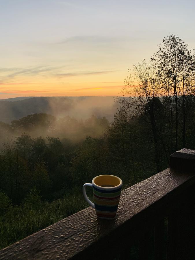 Ski Country Vista - thumb 12