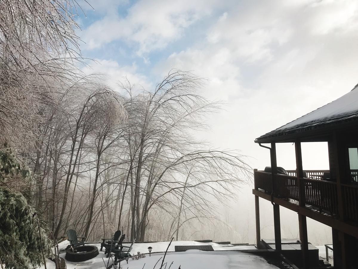 Ski Country Vista - thumb 5