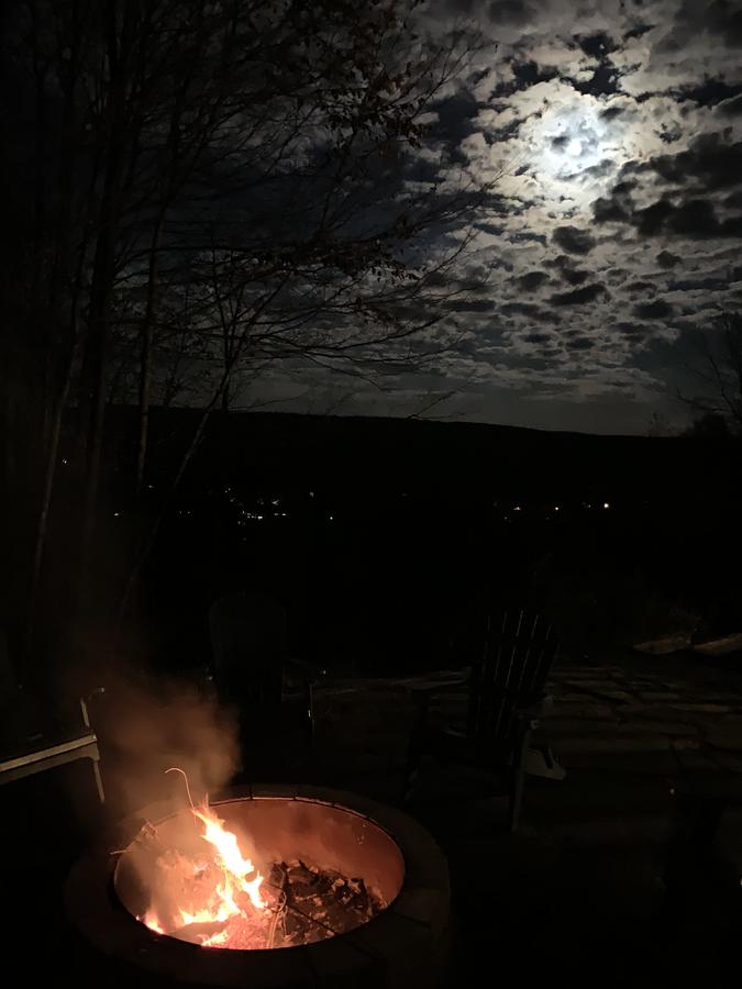 Ski Country Vista - thumb 16