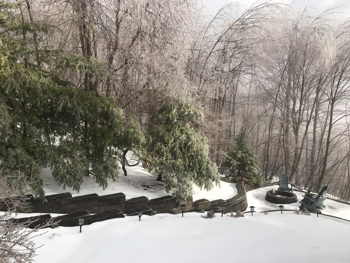 Ski Country Vista - thumb 7