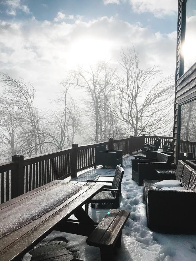 Ski Country Vista - thumb 3