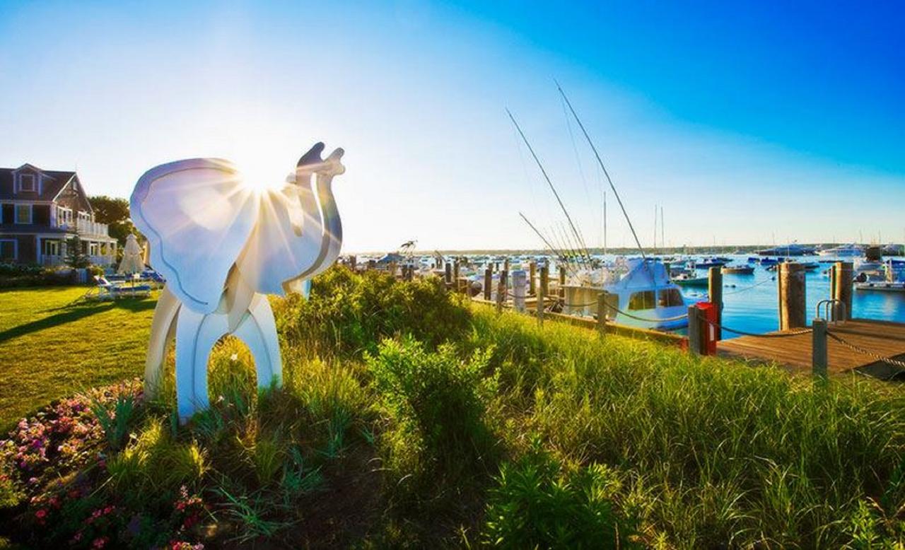 White Elephant Hotel - thumb 30
