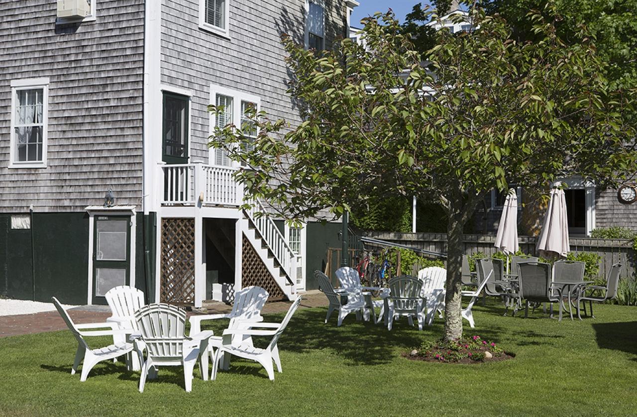 Nantucket Periwinkle - thumb 0