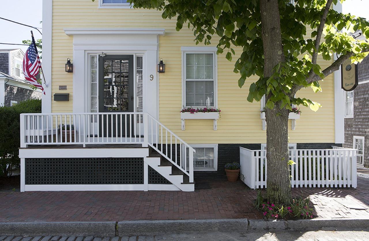 Nantucket Periwinkle - thumb 2