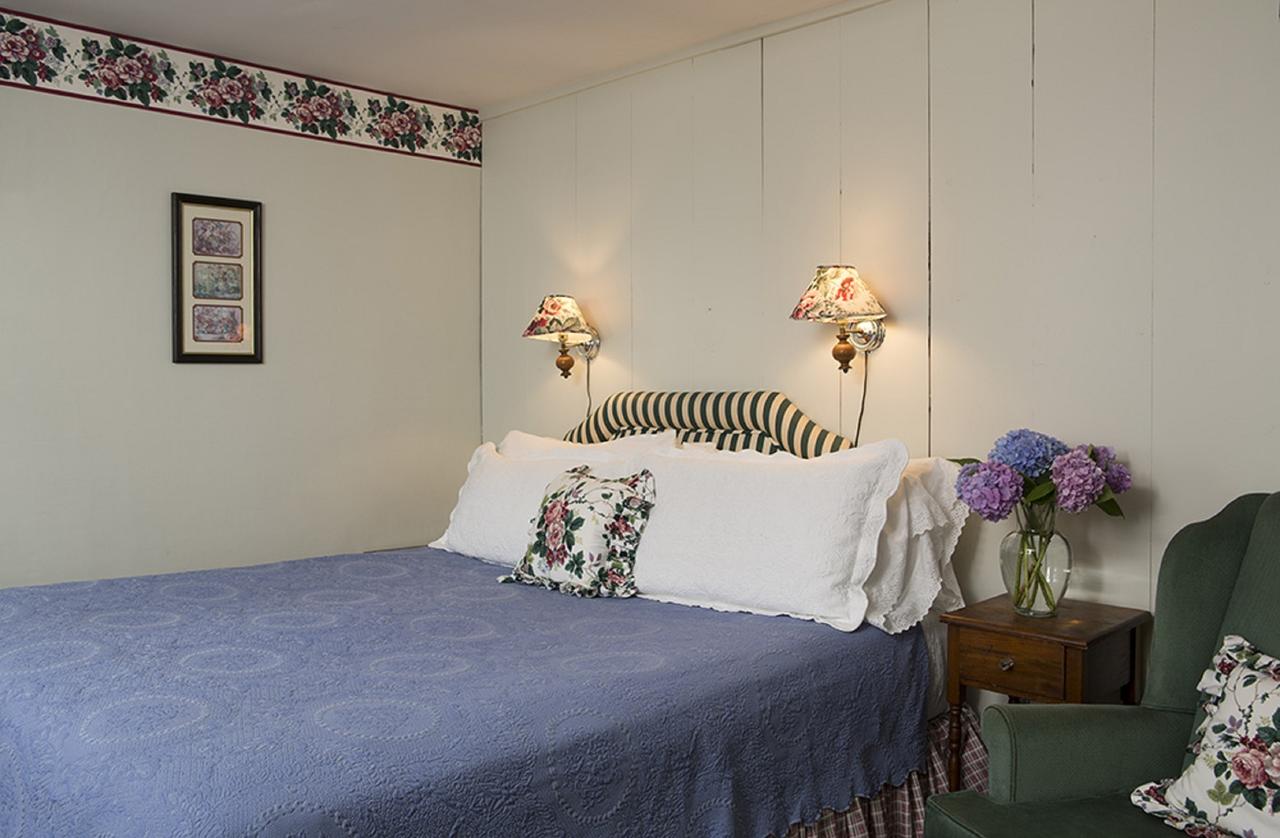 Nantucket Periwinkle - thumb 7