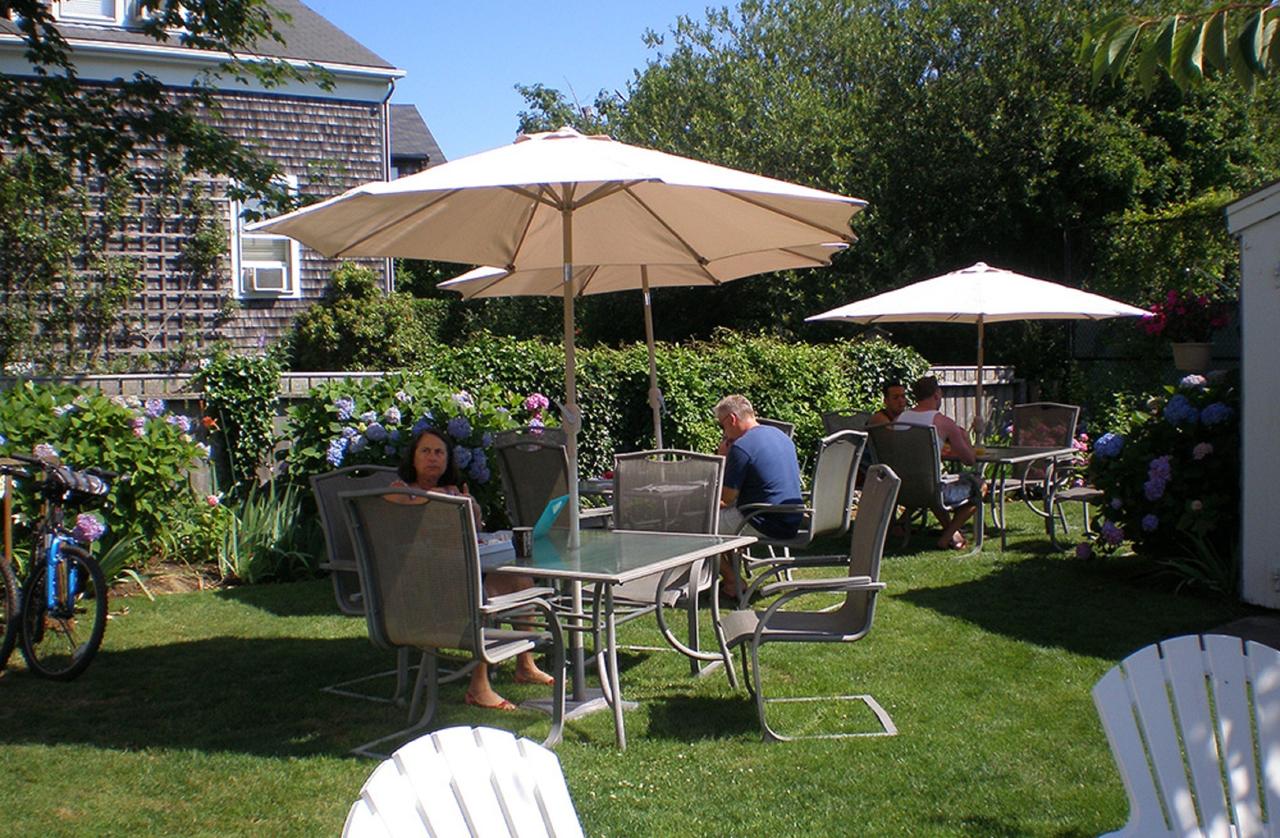Nantucket Periwinkle - thumb 17
