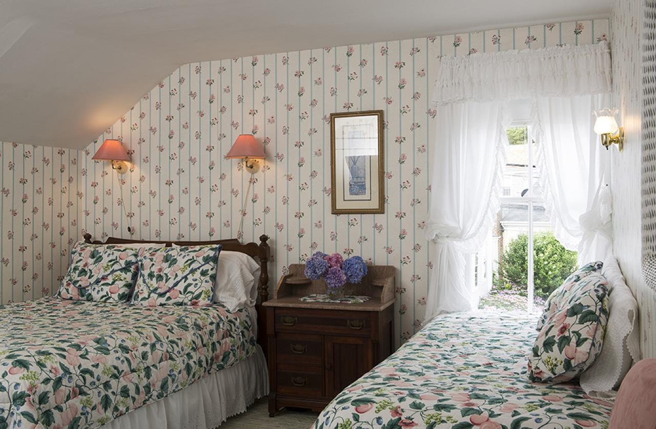 Nantucket Periwinkle - thumb 19