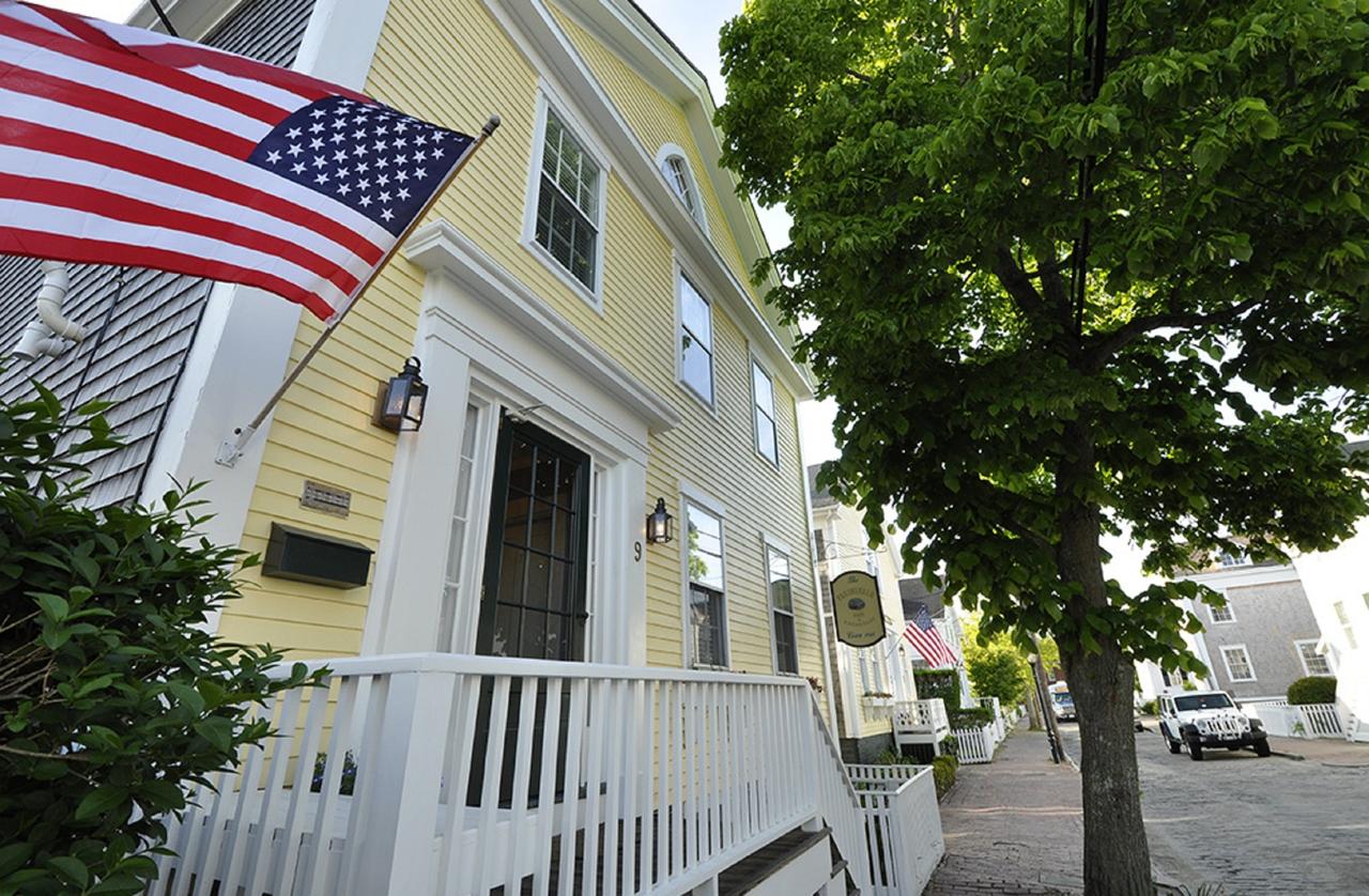 Nantucket Periwinkle - thumb 22